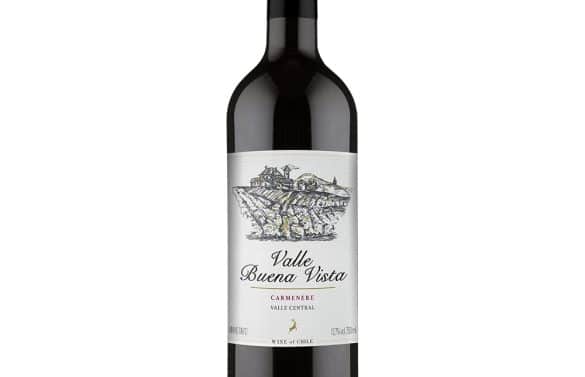 VALLE BUENA VISTA CARMÉNÈRE